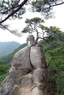 big stone in a green valley