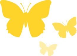 Yellow butterflies on a white background