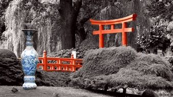 Landscape of asian park