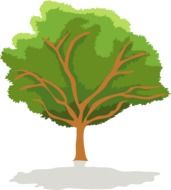 very beautiful tree green drawing