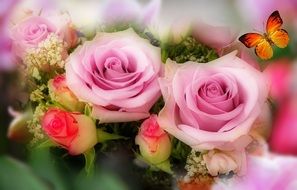 Picture of salmon pink roses