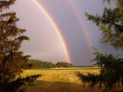 nature double rainbow