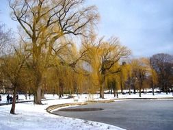 Panorama of Winter Park in Boston