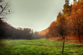 autumn landscape in the nature of poland