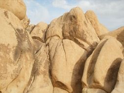 Boulder in the Joshua Tree National Park