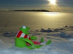 toy frog on snow