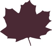 Maple leaf clipart