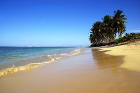 Wet sand on the beach on a tropical island