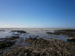 pebble coast in uk