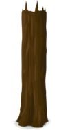 graphic drawing of a tree trunk