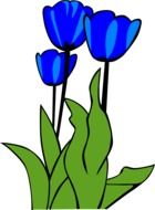 blue tulips flowers drawing