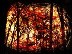 orange landscape with climbing trees in the forest