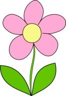 pink daisy drawing