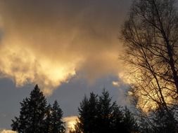 thunderstorm weather in winter