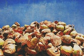 pile of coconut shells