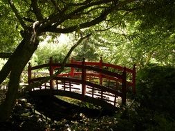 Red bridge in the park under green trees