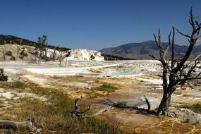 tourist attraction of Yellowstone in Wyoming