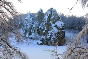 Teutoburg forest in winter