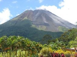 Landscape of green plants on a high volcano