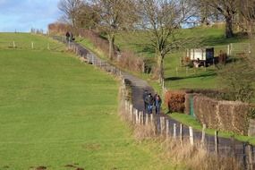 walk along the green field