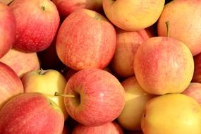 A lot of apples close-up