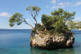 sea bay in Croatian nature