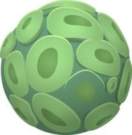 picture with a ball of green algae