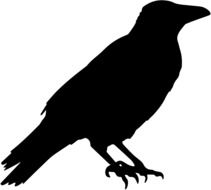 silhouette of a crow on a white background