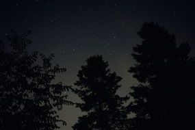 stars at night sky over trees, canada, quebec