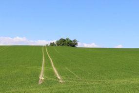 road on a green field