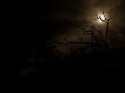 moon in overcast dark sky