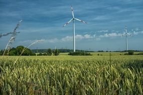 white windmills on a grain field