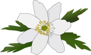 Graphics in the form of a spring flower