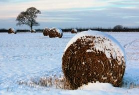 haystack in the winter