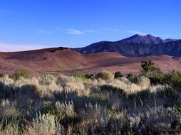 scenic view of the sand dunes