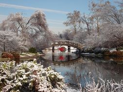 creek bridge in winter