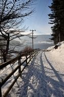 path in the winter forest