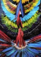 the colorful headdress of feathers Amazon