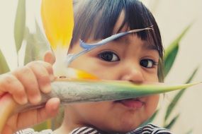 girl holding yellow flower
