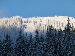 snowy mountain peaks in sunlight in british columbia