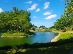 pond in a beautiful nature on a sunny day