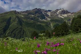 green mountains in the Caucasus
