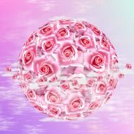 ball of roses on a pink background