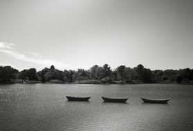 Black and white photo of the rowboats