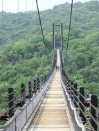 landscape of suspension bridge and forest in Japan