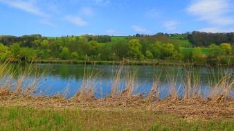 dry grass by the river in Switzerland