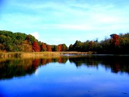 autumn trees near the river