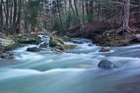 water flow streaming around stones in wild forest