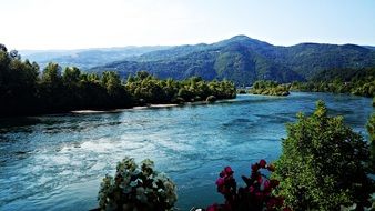 Green trees near the river in Serbia