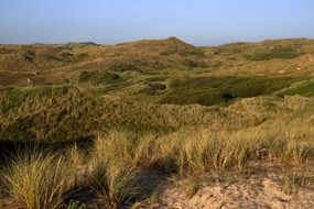 Landscape of cornwall dunes